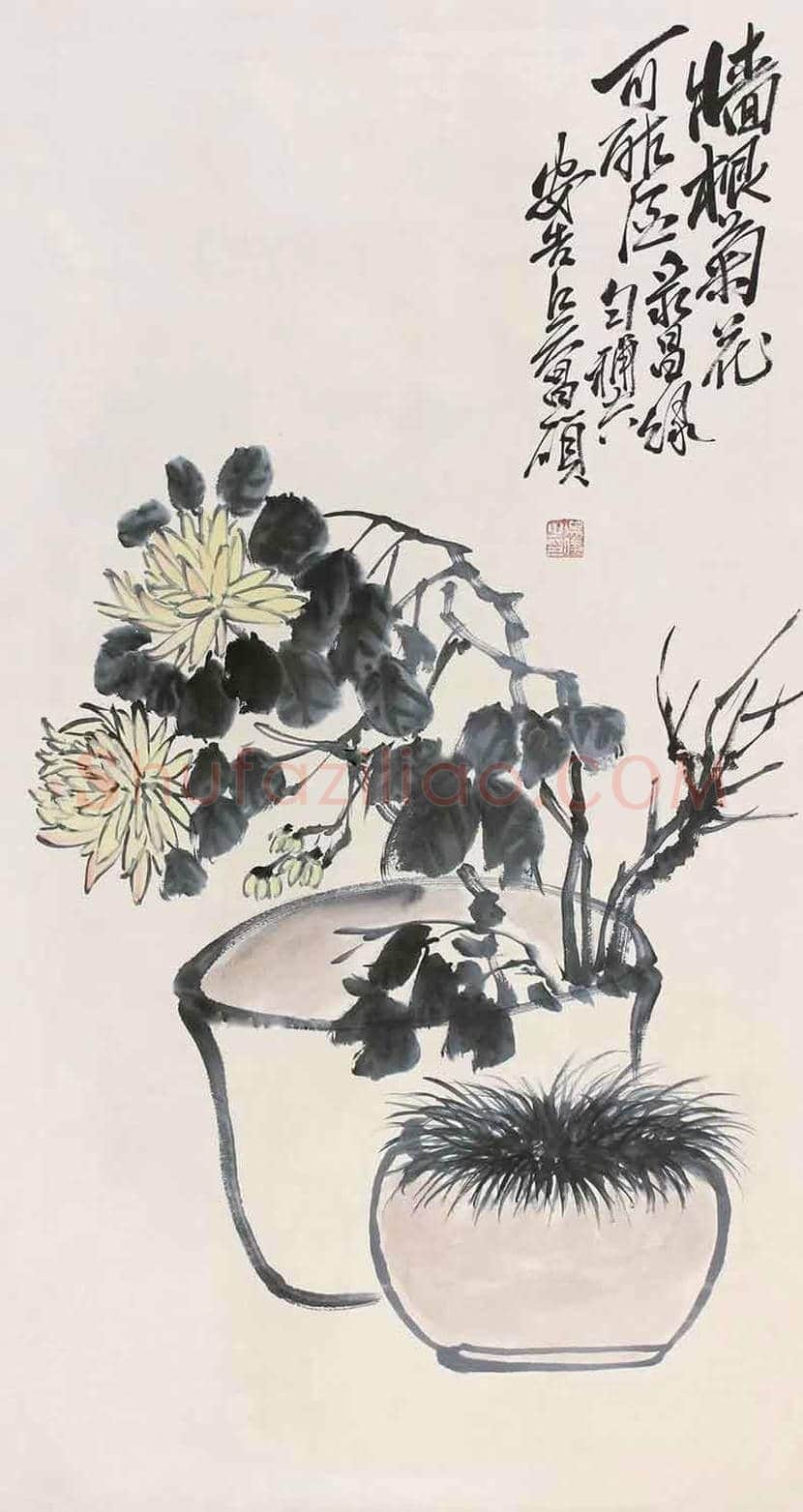 吴昌硕笔下的菊花 | 书画讲解