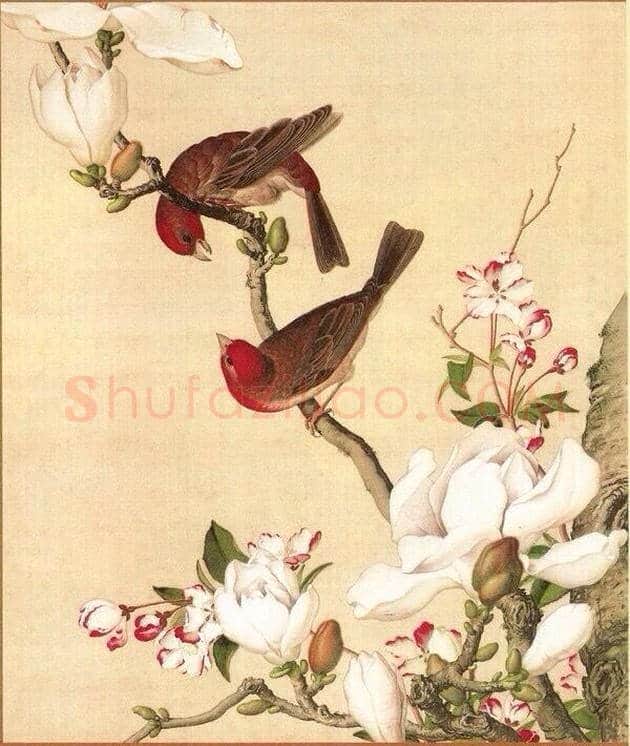 郎世宁笔下的中国花鸟 | 书画知识