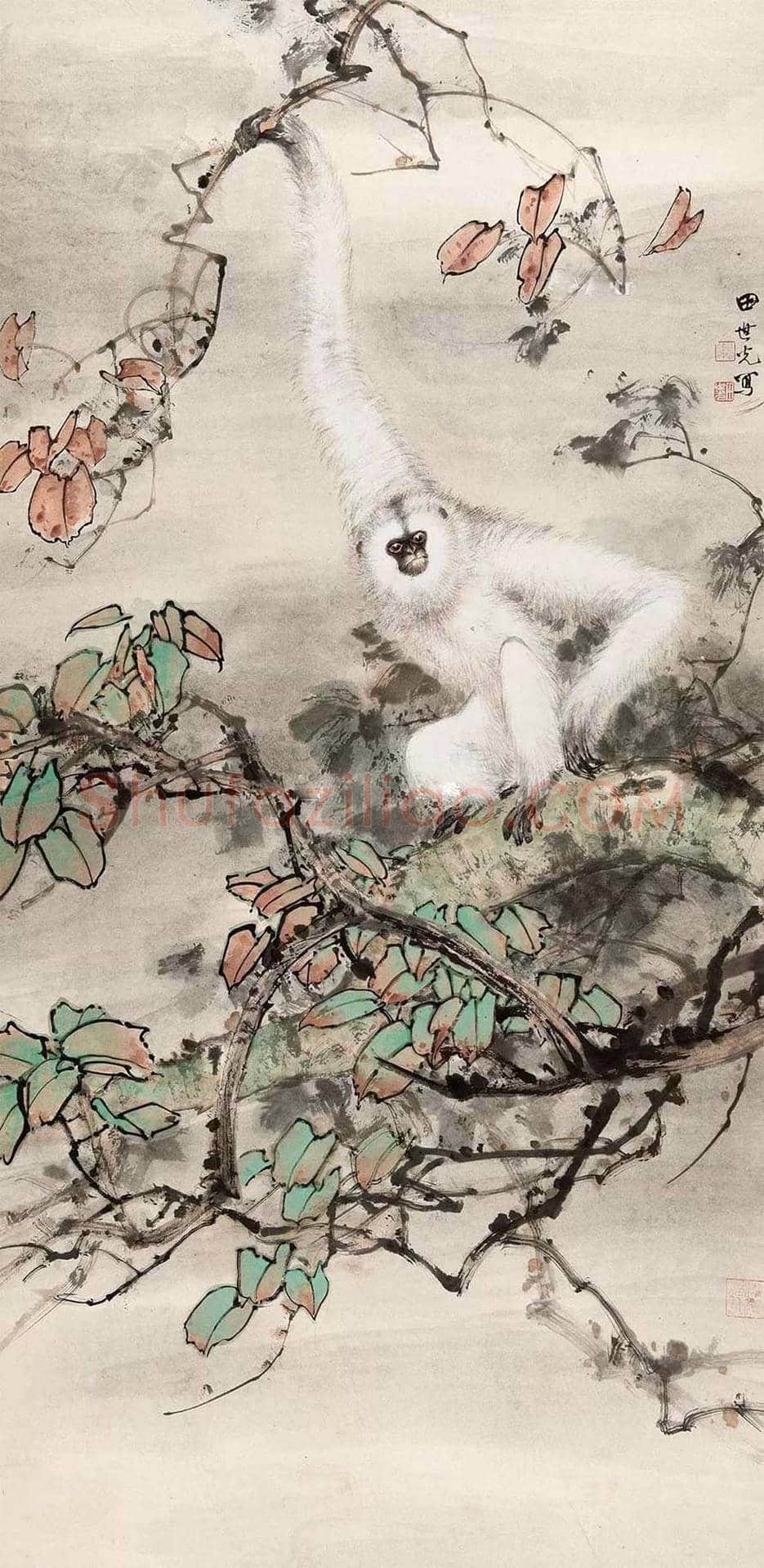 田世光猿猴作品精选 | 书画文摘