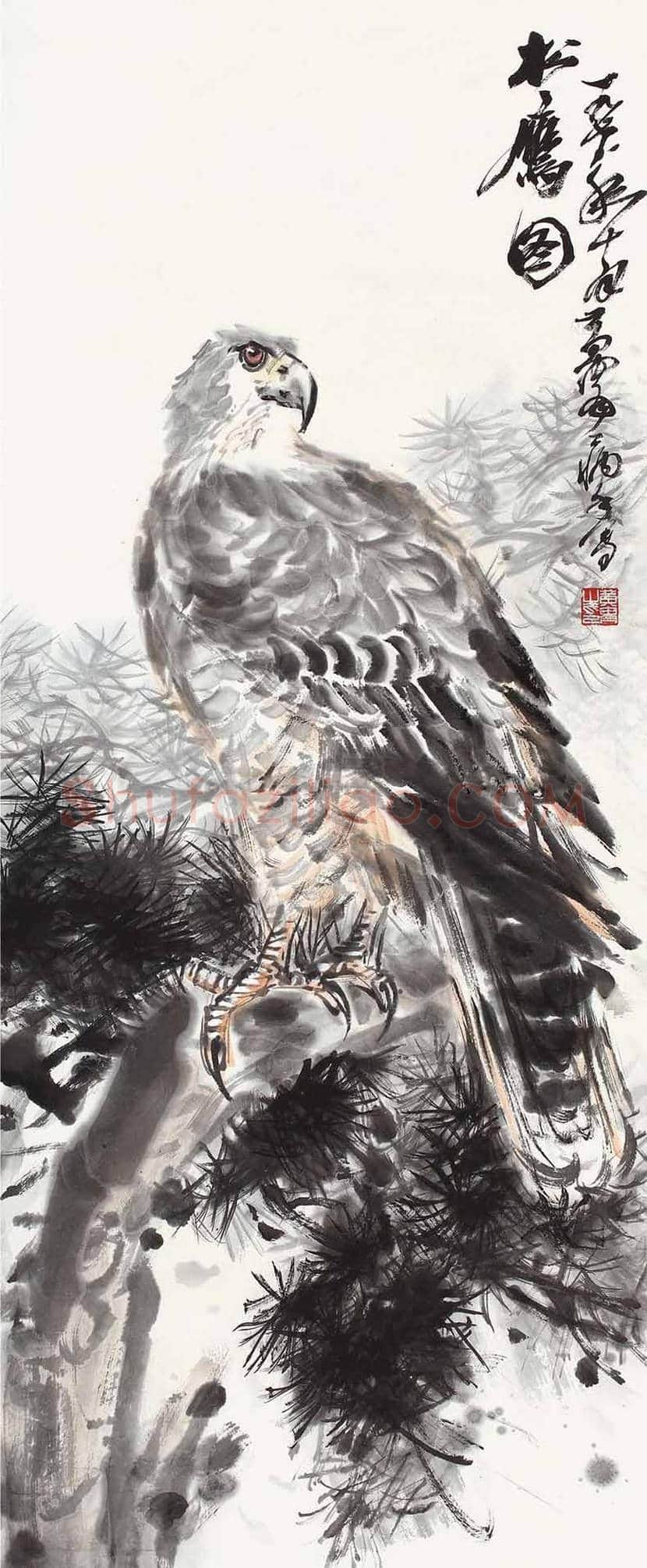 黄胄《松鹰图》欣赏 | 书画学堂