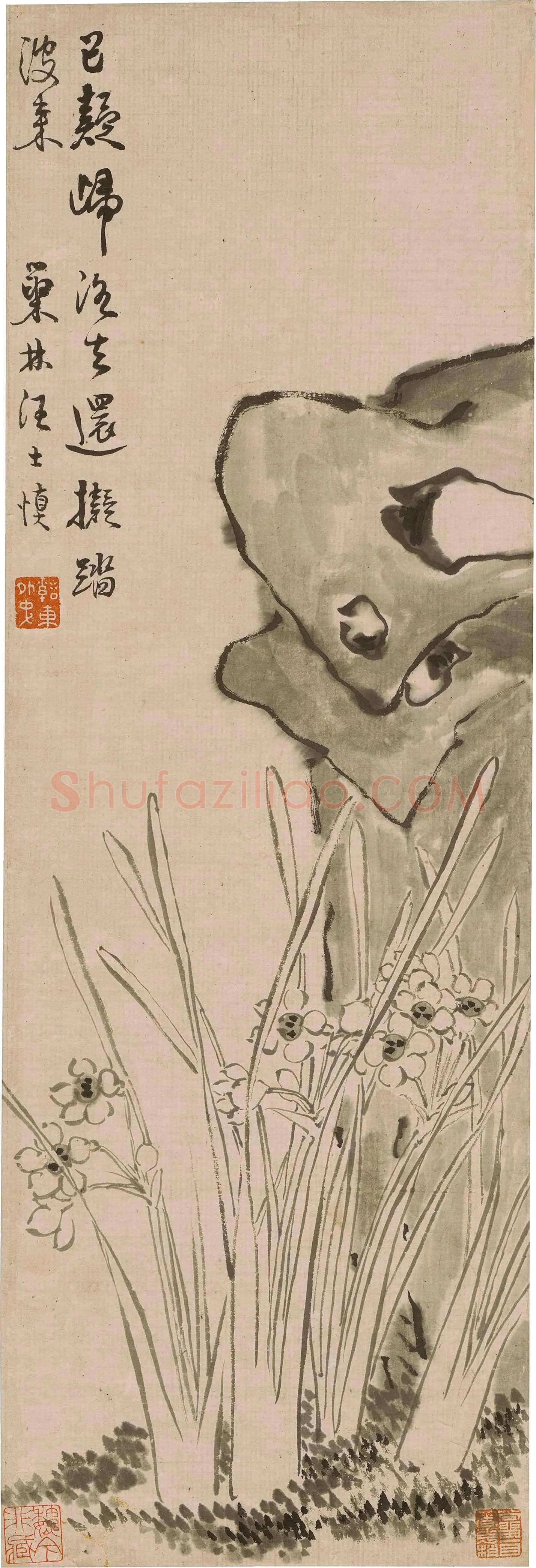 汪士慎《湖石水仙图》欣赏 | 书画科普