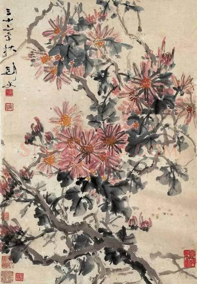 近现代名家画菊48幅！（值得收藏） | 书画知识
