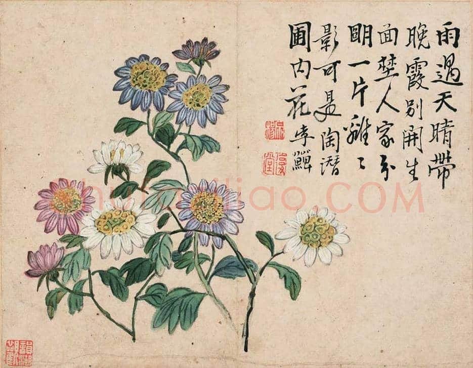 李鱓花鸟册页欣赏 | 书画讲解