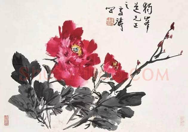 王雪涛国画牡丹欣赏 | 书画学堂