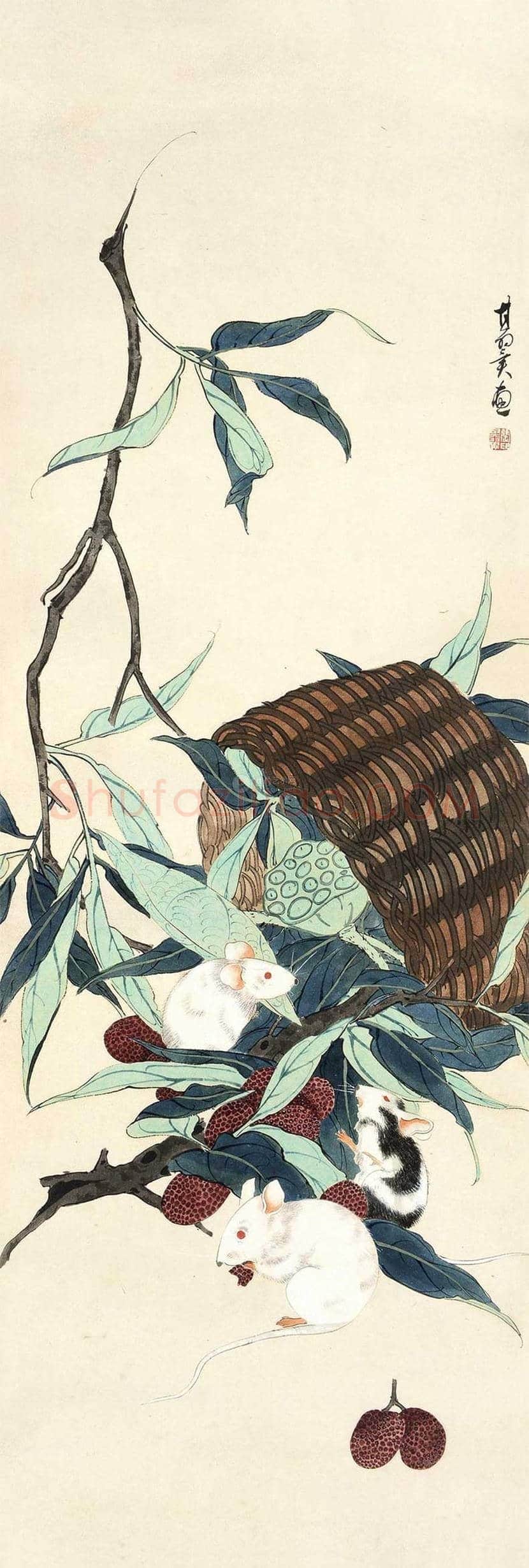 张其翼花鸟画作品欣赏 | 书画科普