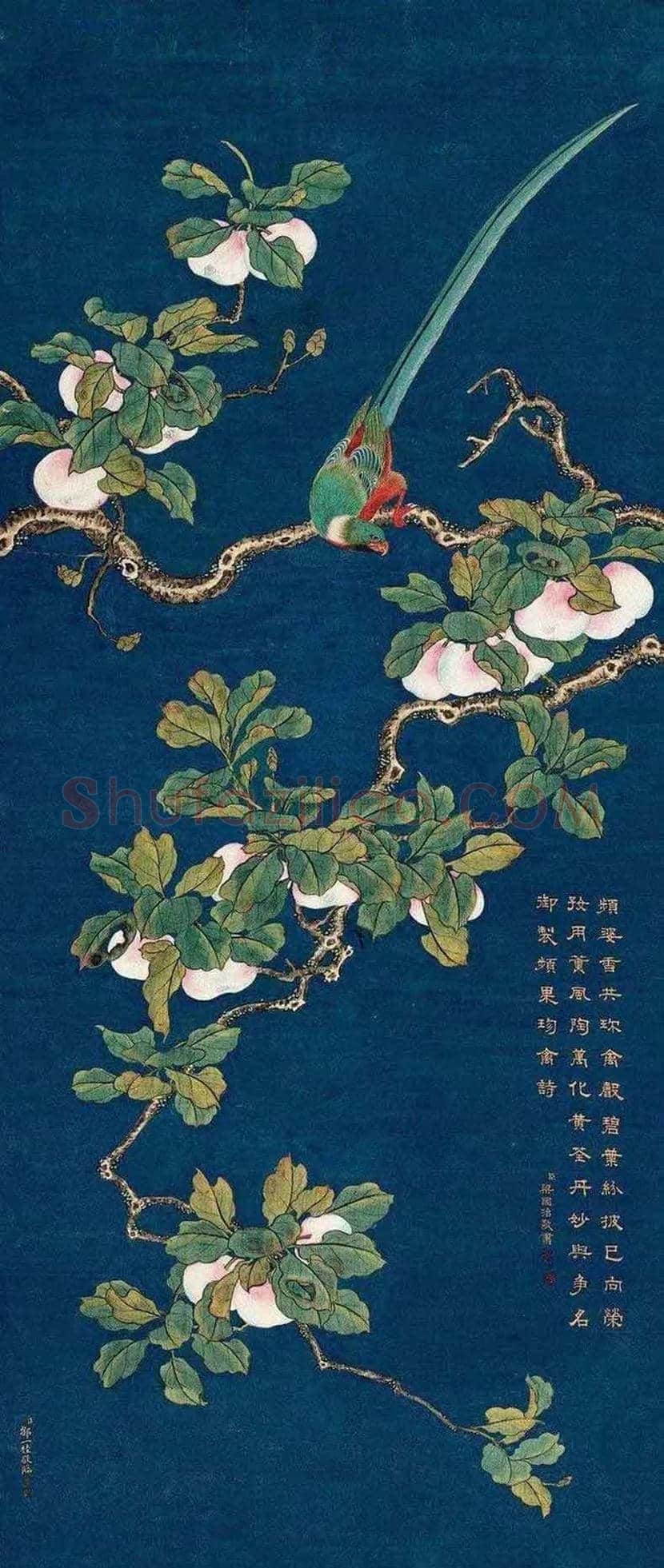 邹一桂工笔花鸟画作品欣赏 | 书画学堂
