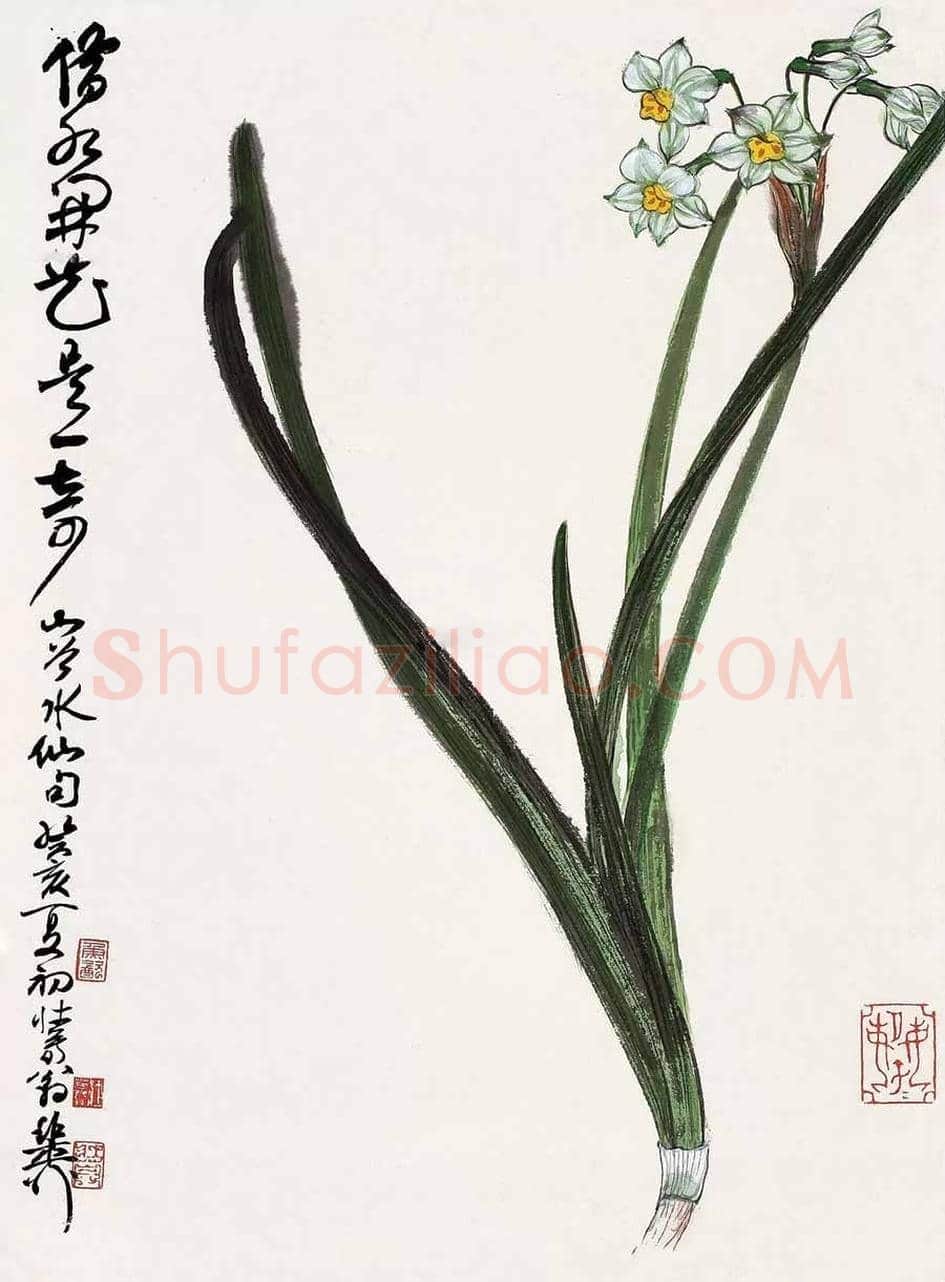 名家笔下的水仙,万种风情,尽在不言中! | 书画百科