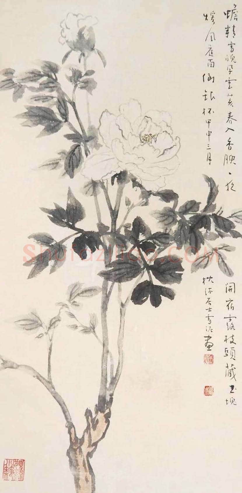 孙雪泥作品欣赏 | 书画讲解