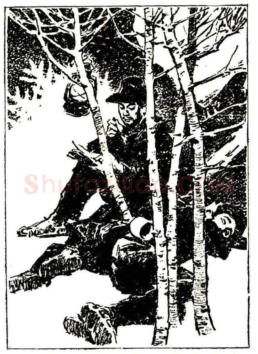 红色画家董辰生的插图作品欣赏 | 书画学堂