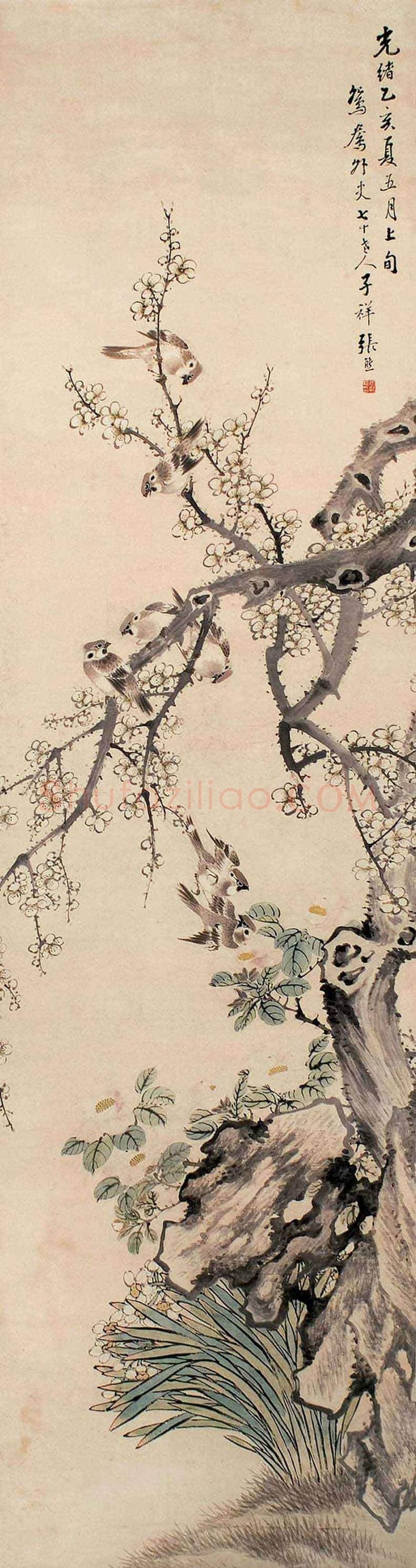 张熊花鸟画作品欣赏 | 书画常识