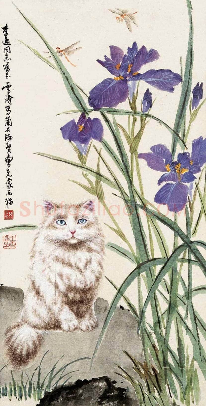 曹克家画猫作品欣赏 | 书画学堂