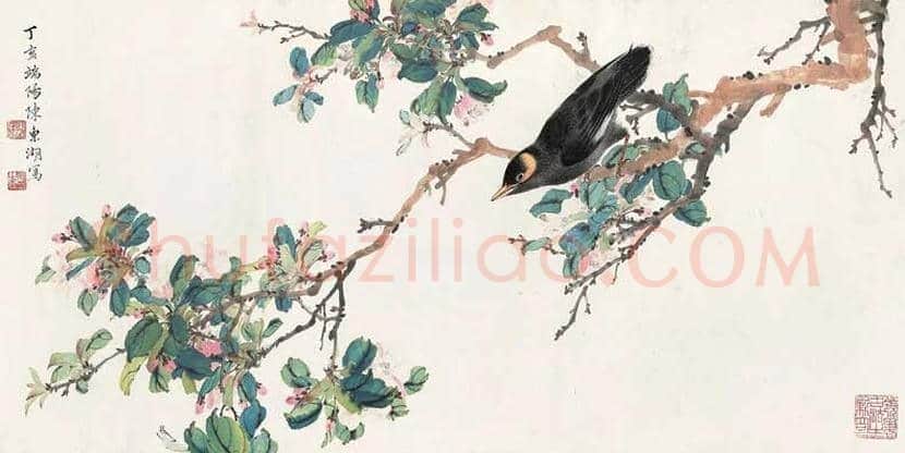 陈东湖花鸟作品欣赏 | 书画文摘