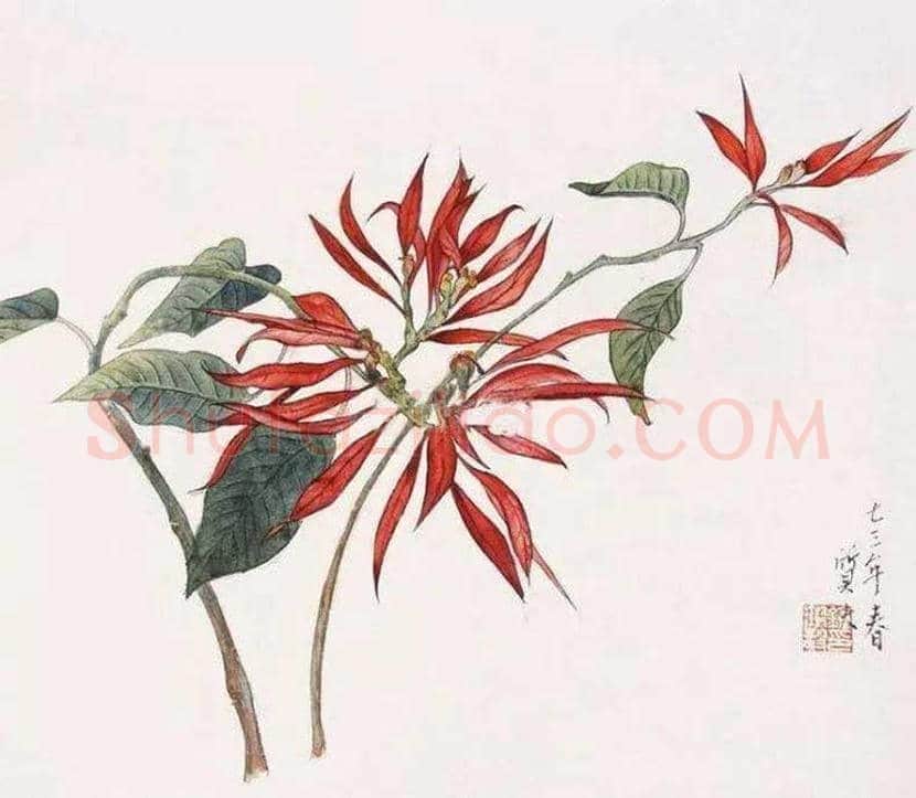 钟质夫花鸟画作品欣赏 | 书画文摘