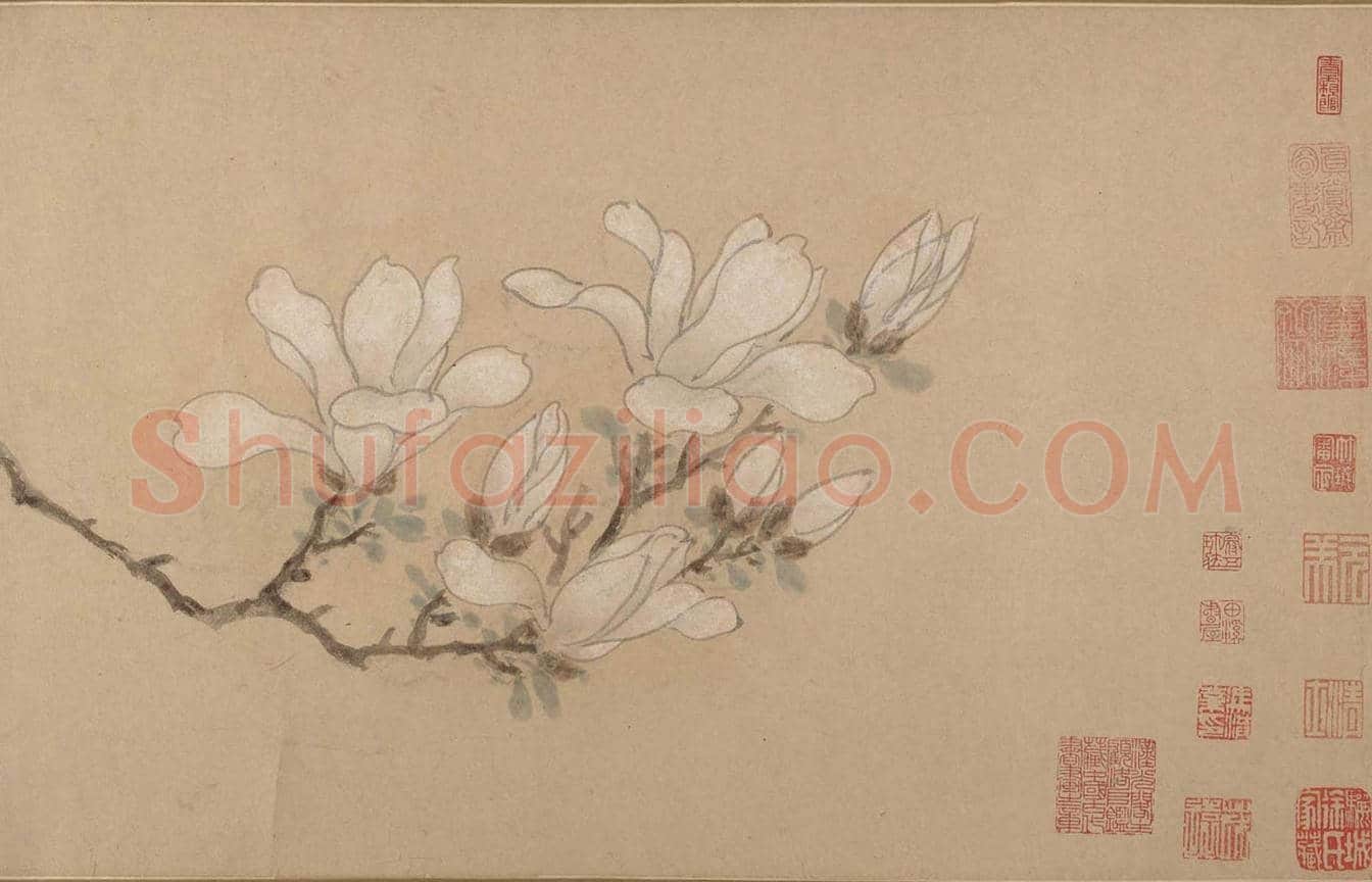 文徵明《白玉兰图卷》图赏 | 著名国画鉴赏