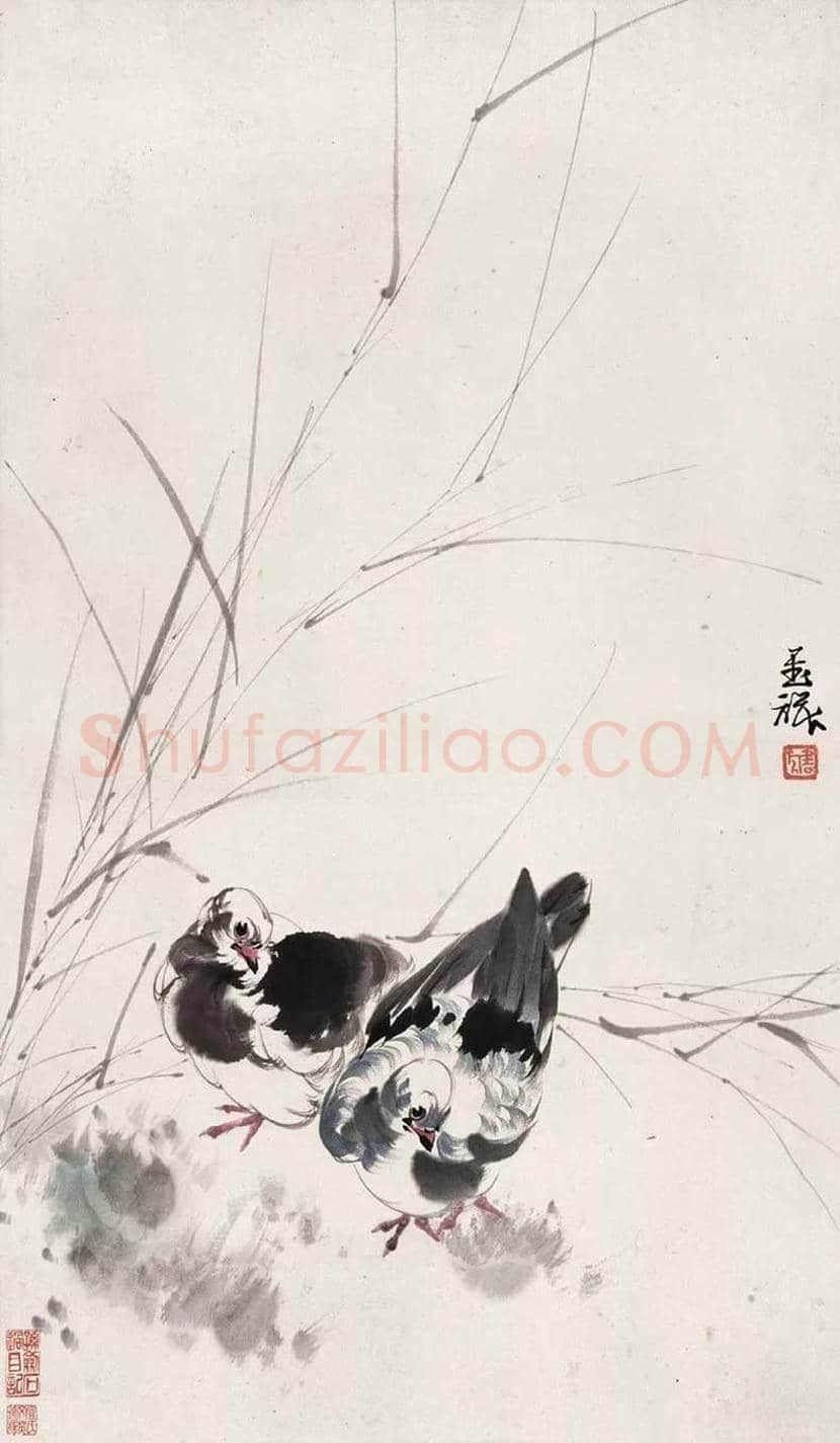 张书旂花鸟画作品欣赏 | 书画讲解