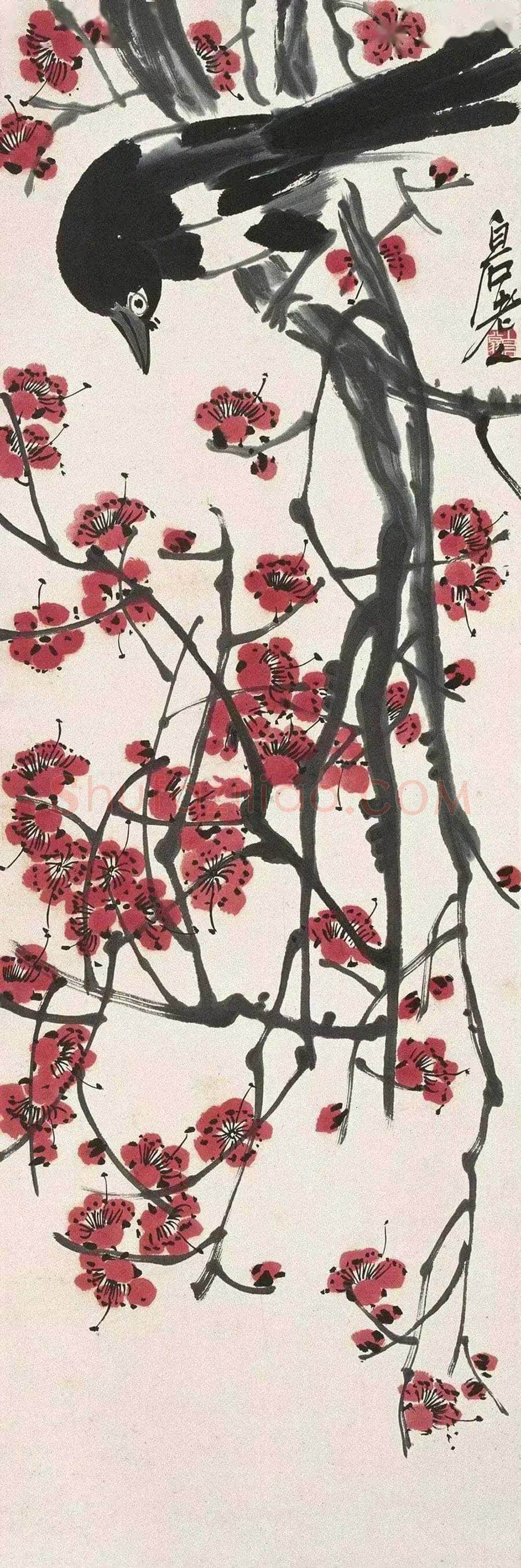 齐白石梅花欣赏 | 书画百科