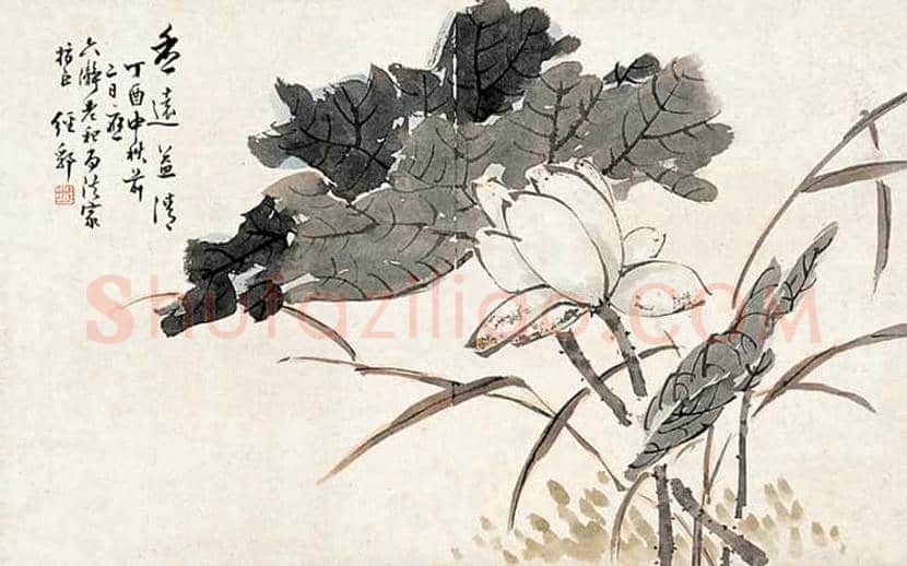 金城花鸟画作品欣赏 | 书画学堂