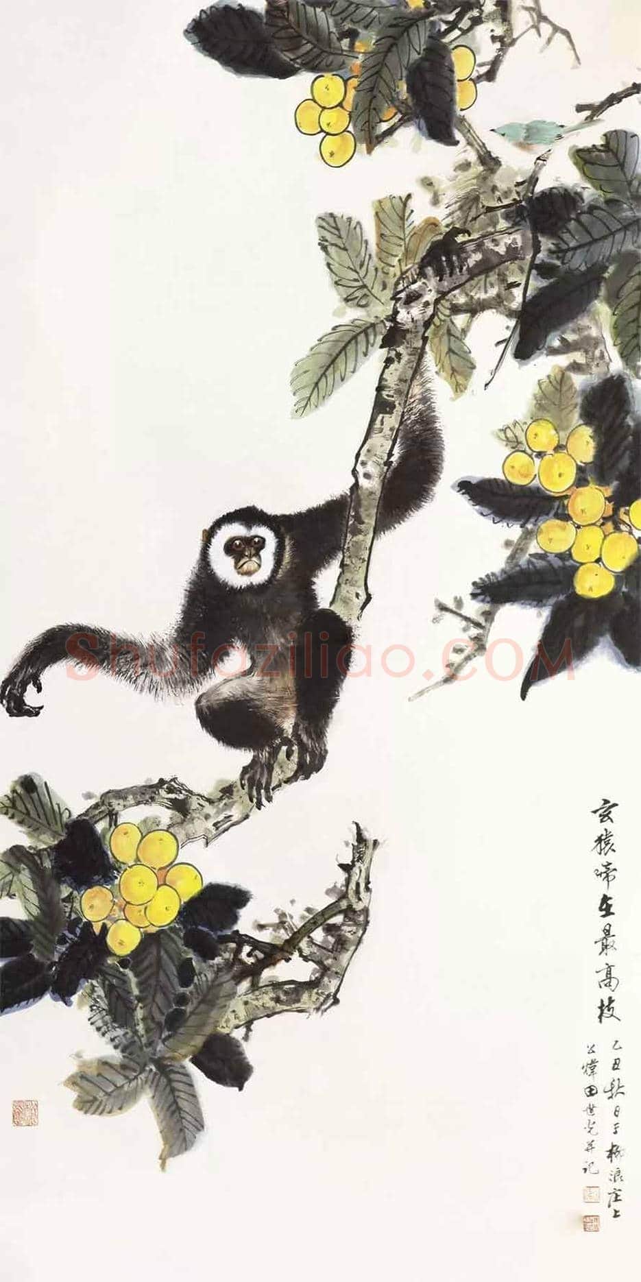 田世光猿猴作品精选 | 书画文摘