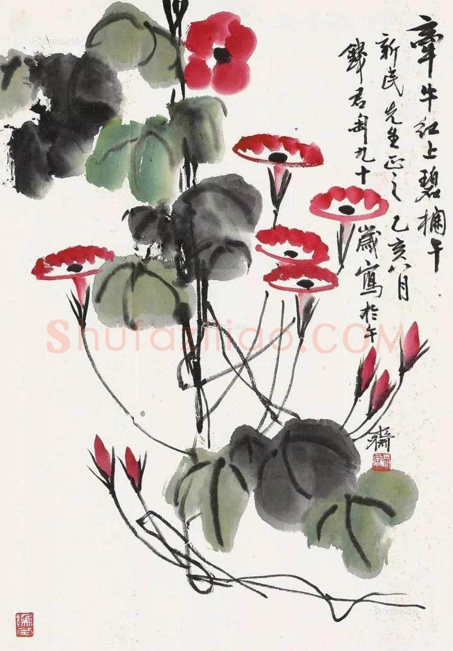 钱君匋笔下的牵牛花,清新奔放 | 书画文摘