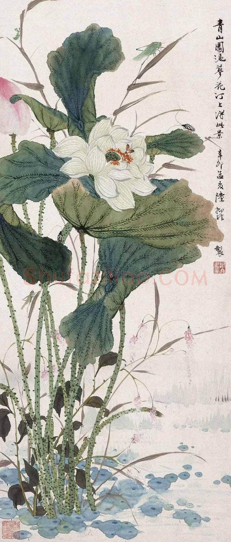 陆抑非荷花作品欣赏 | 书画文摘