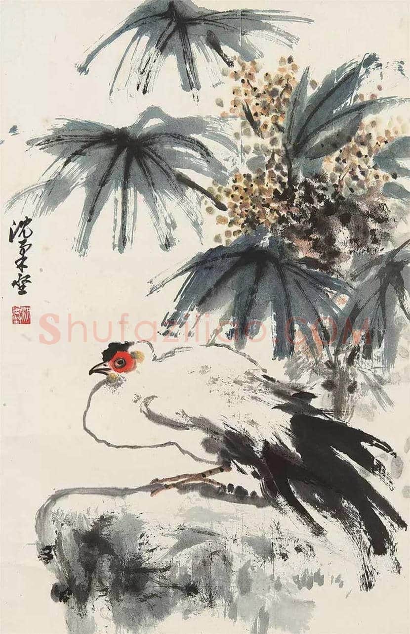 沈柔坚花鸟画作品欣赏 | 书画科普