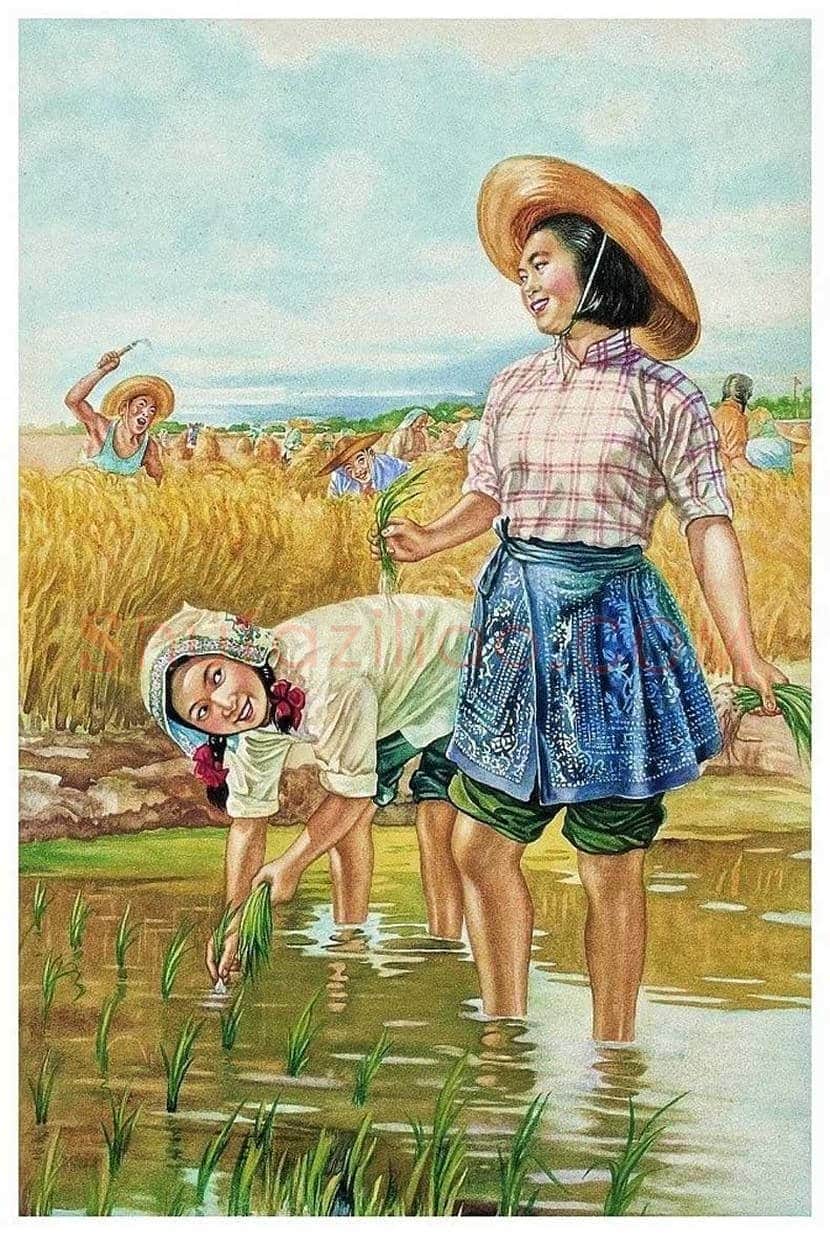李慕白年画作品欣赏 | 书画资料