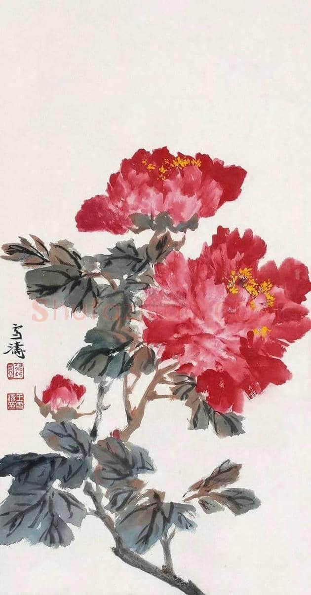 王雪涛国画牡丹欣赏 | 书画学堂
