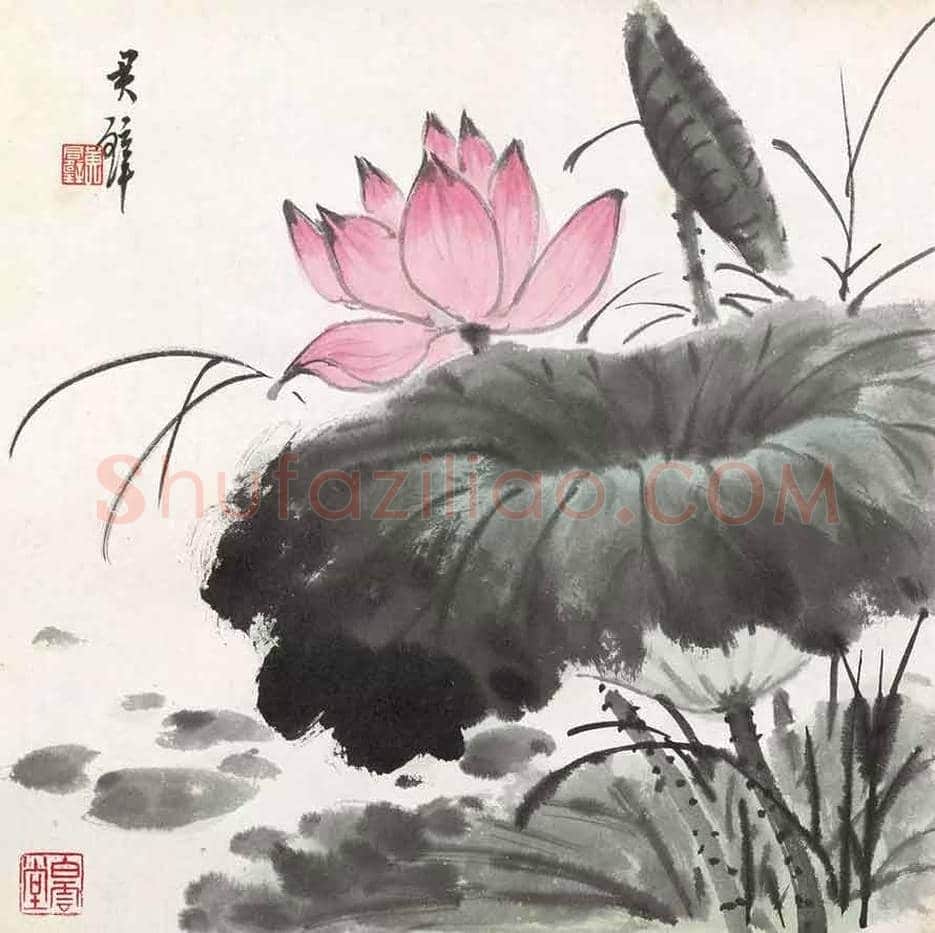 黄君璧荷花作品欣赏 | 书画知识