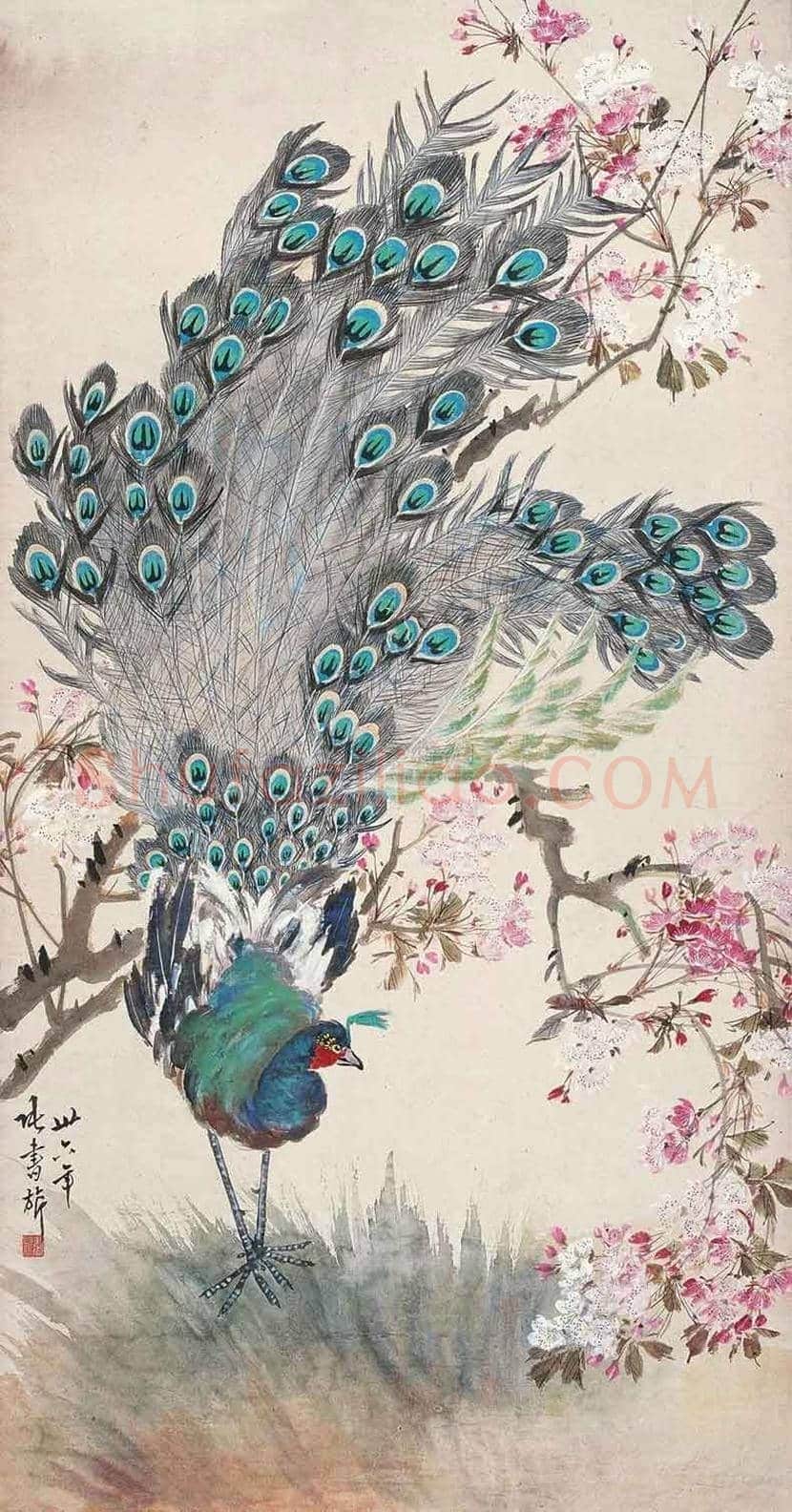 张书旂花鸟画作品欣赏 | 书画讲解