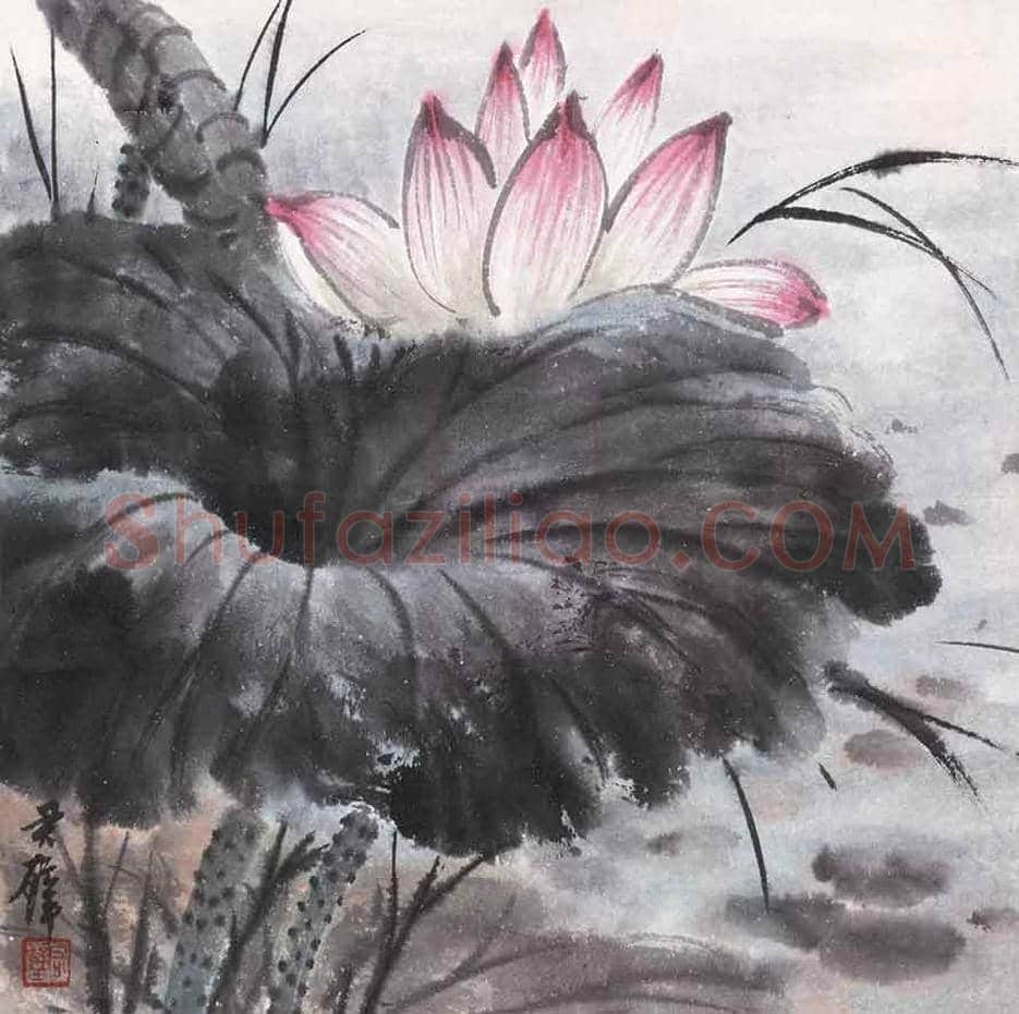 黄君璧荷花作品欣赏 | 书画知识