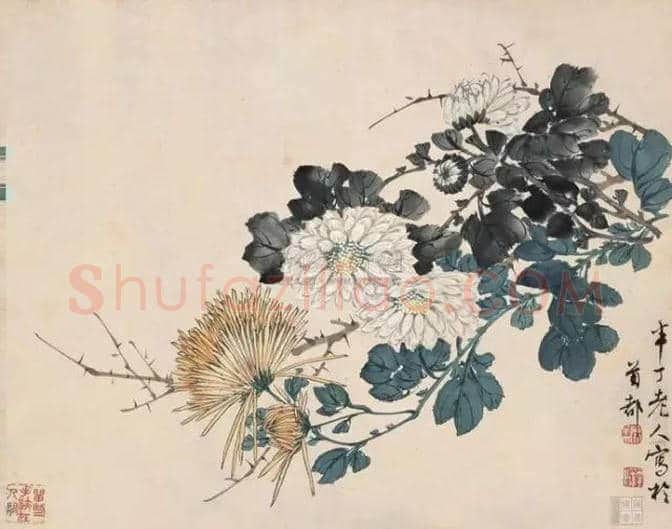 近现代名家画菊48幅！（值得收藏） | 书画知识