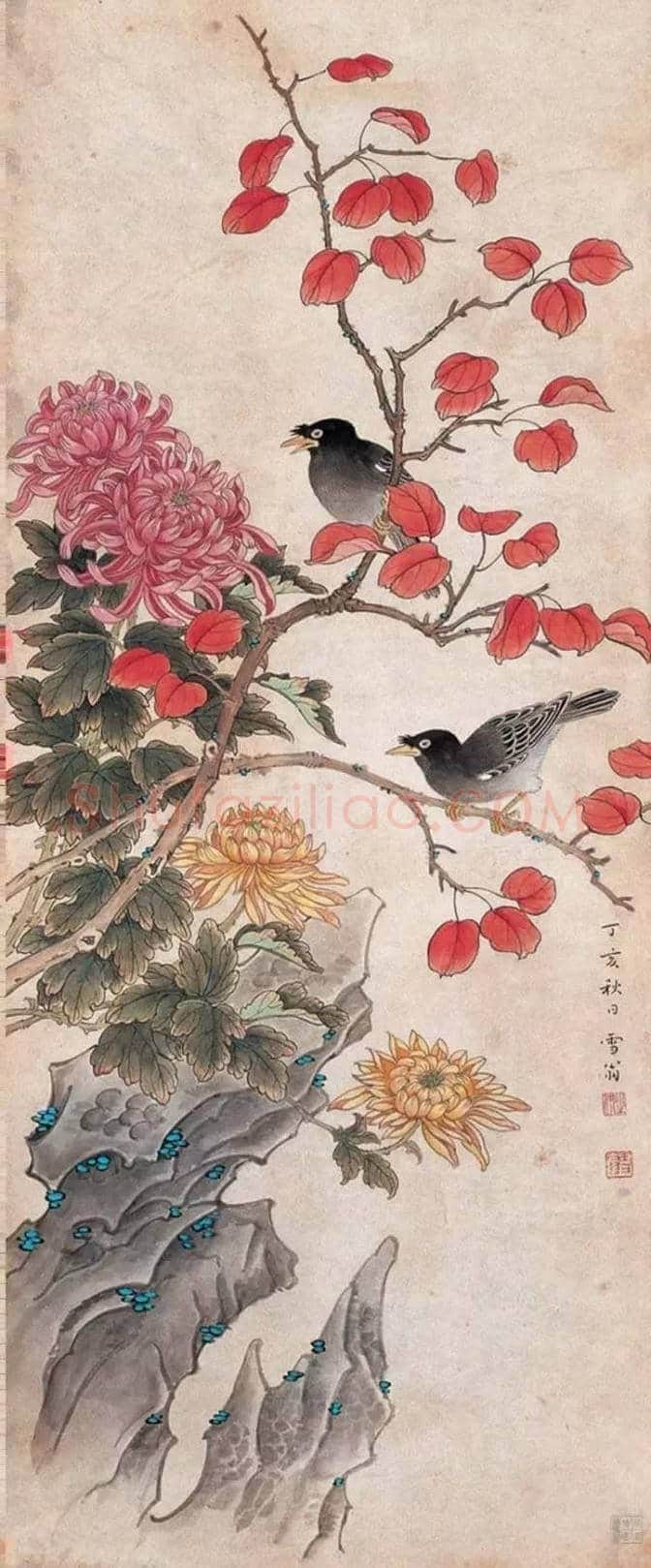近现代名家画菊48幅！（值得收藏） | 书画知识