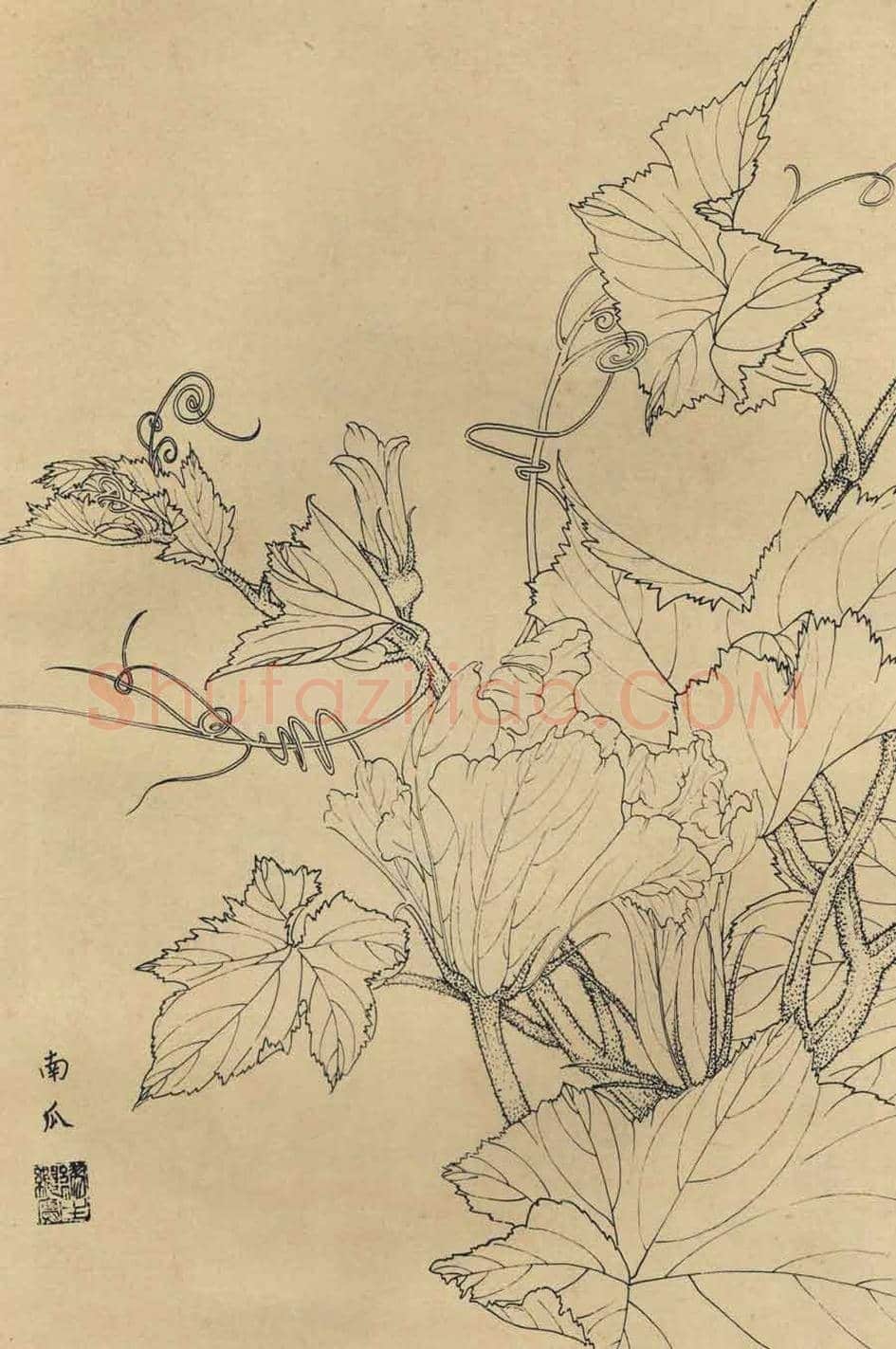 百花图谱大全【白描画】 | 书画资料