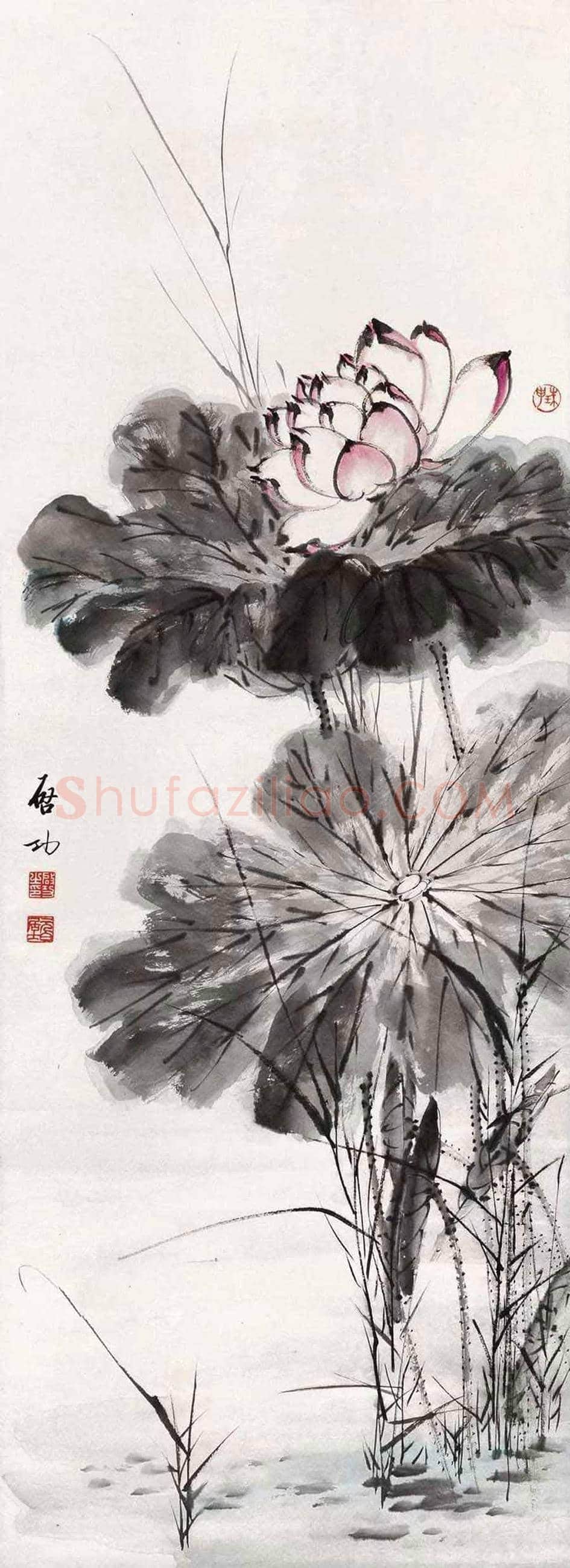 启功花鸟画图赏 | 书画文摘