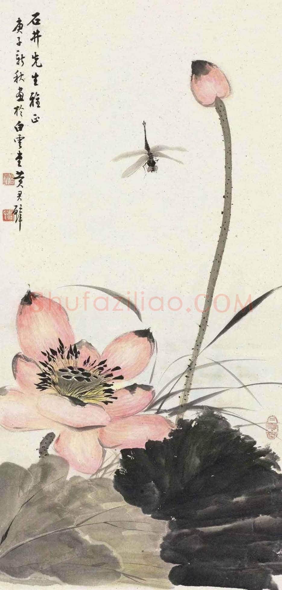 黄君璧荷花作品欣赏 | 书画知识