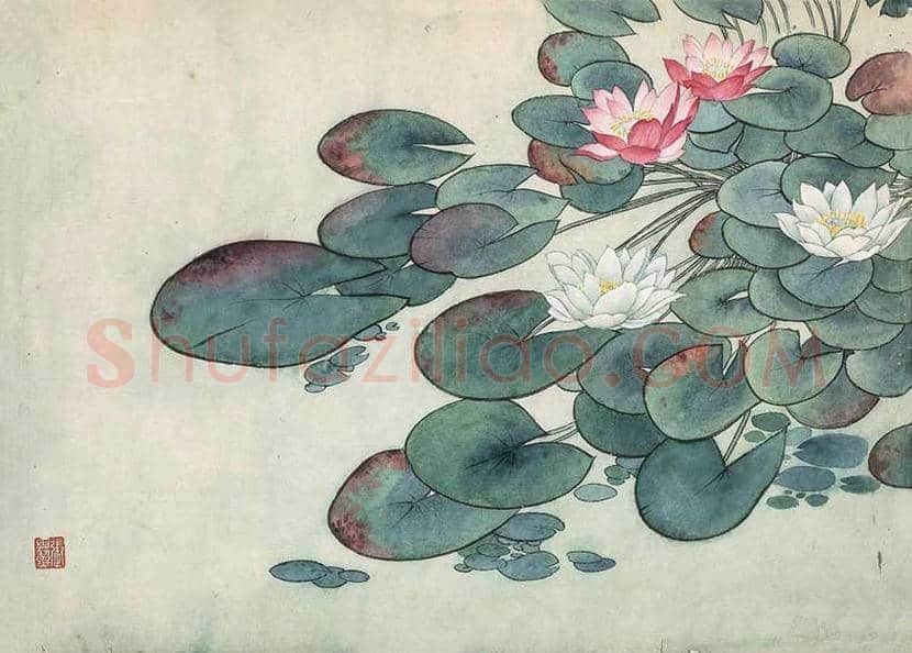 张其翼花鸟画作品欣赏 | 书画科普