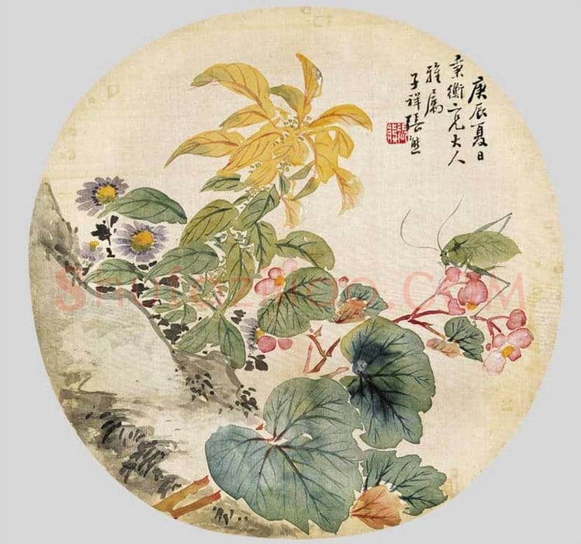 张熊花鸟画作品欣赏 | 书画常识
