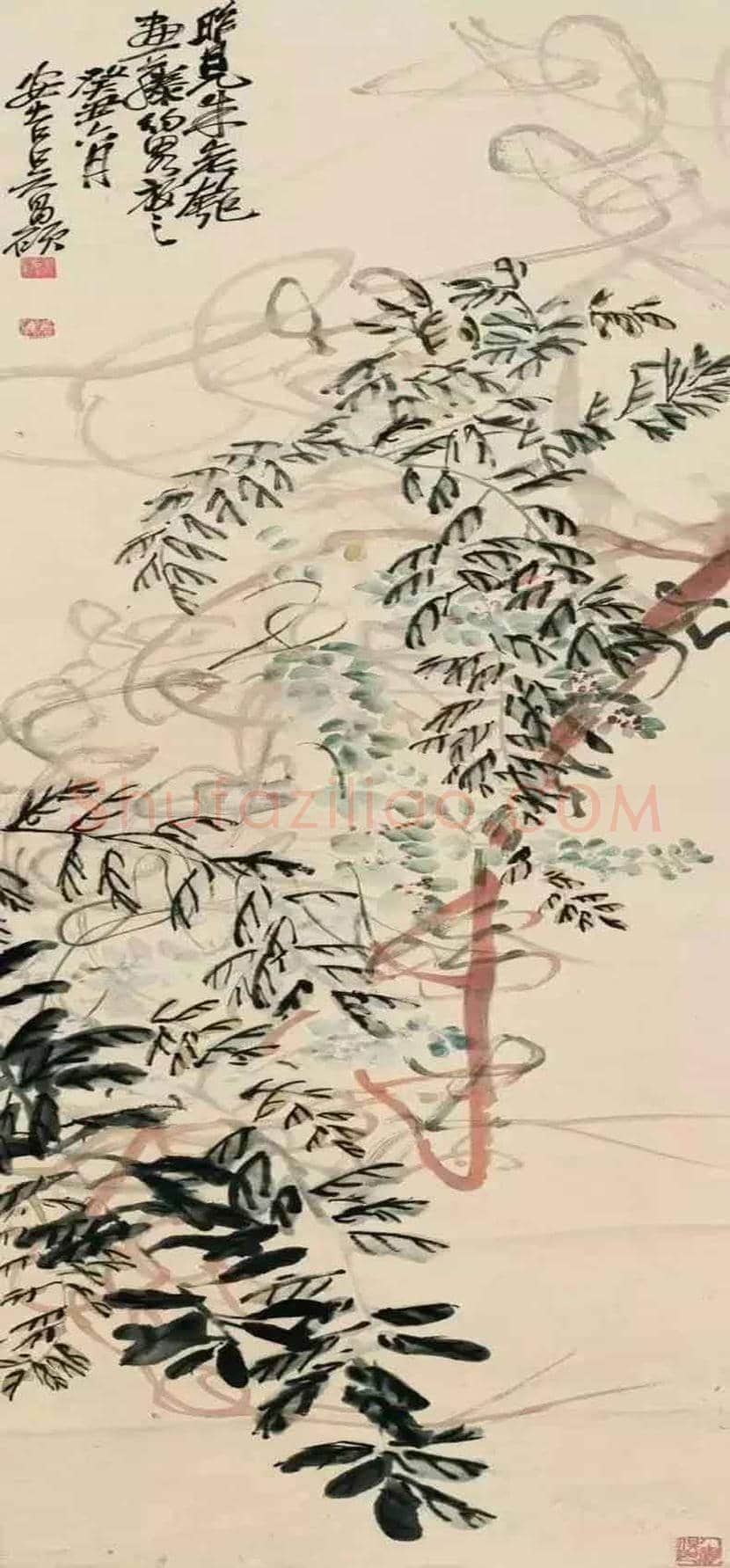 吴昌硕笔下的紫藤,就是在写狂草! | 书画学堂