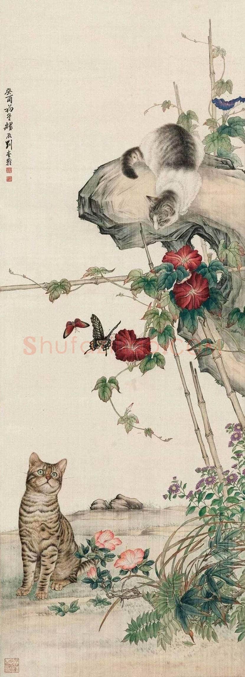 名家画猫作品欣赏 | 书画文摘