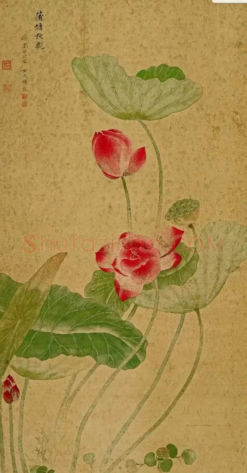 恽冰《蒲塘秋艳图》欣赏 | 书画学堂