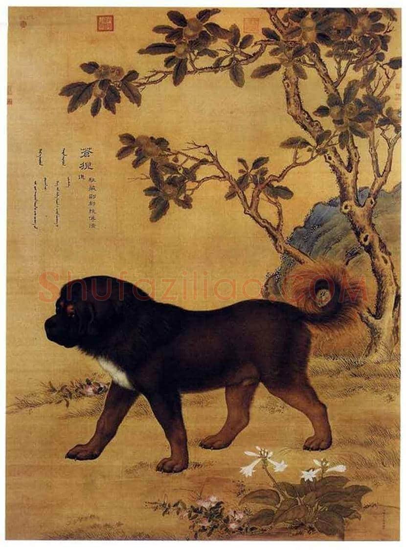 郎世宁画笔下的中国猎犬 | 书画常识