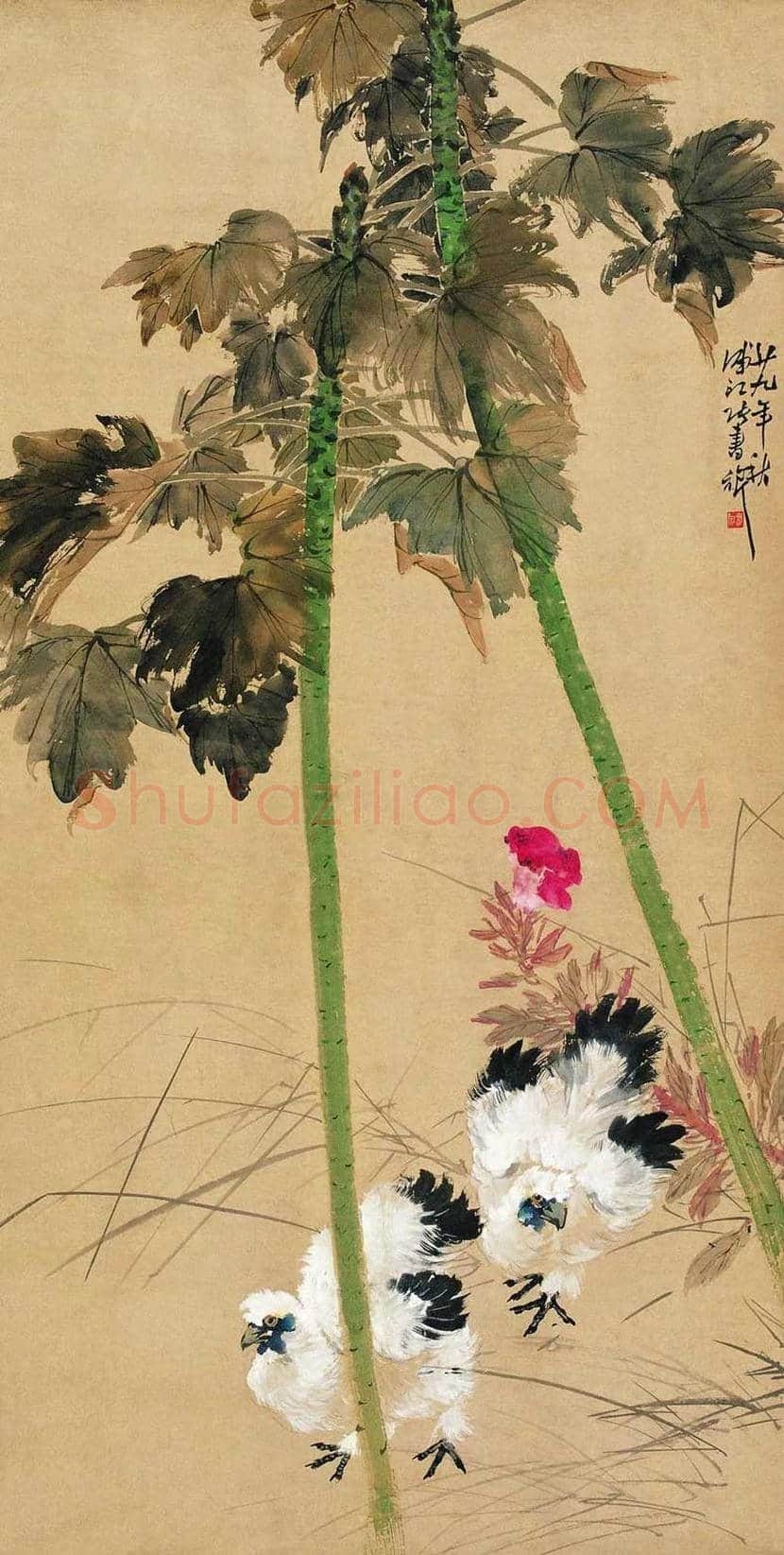 张书旂花鸟画作品欣赏 | 书画讲解