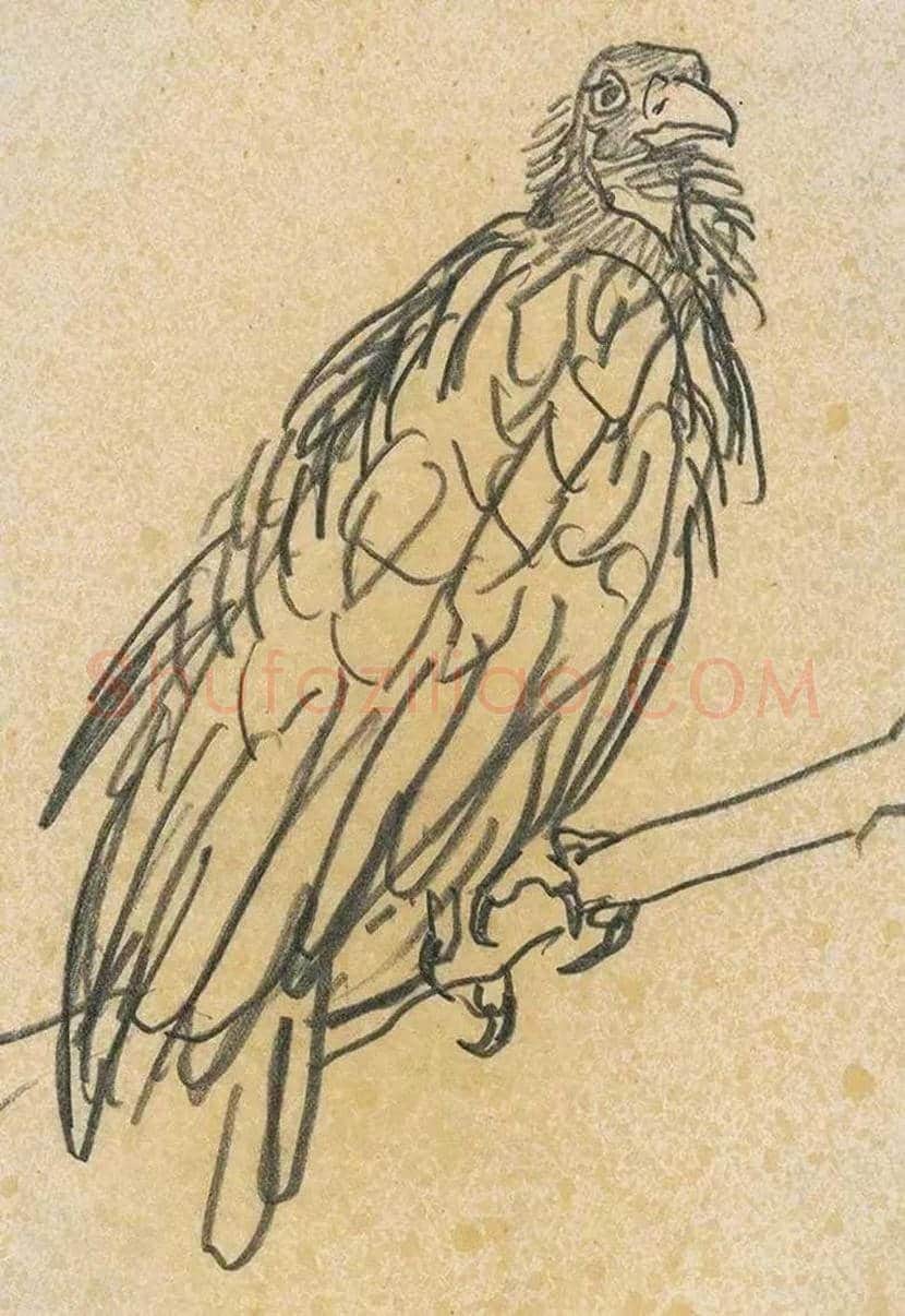 叶浅予速写欣赏 | 书画文摘