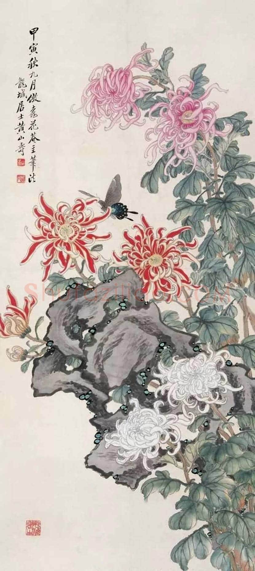 黄山寿花鸟画作欣赏 | 书画百科