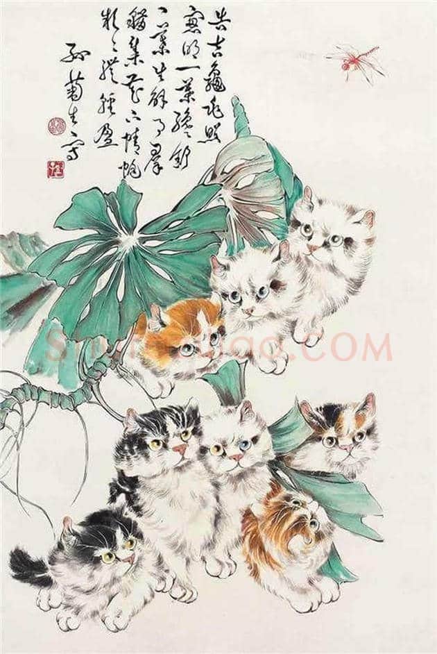 物理老师业余画猫，人称猫王！ | 书画文摘