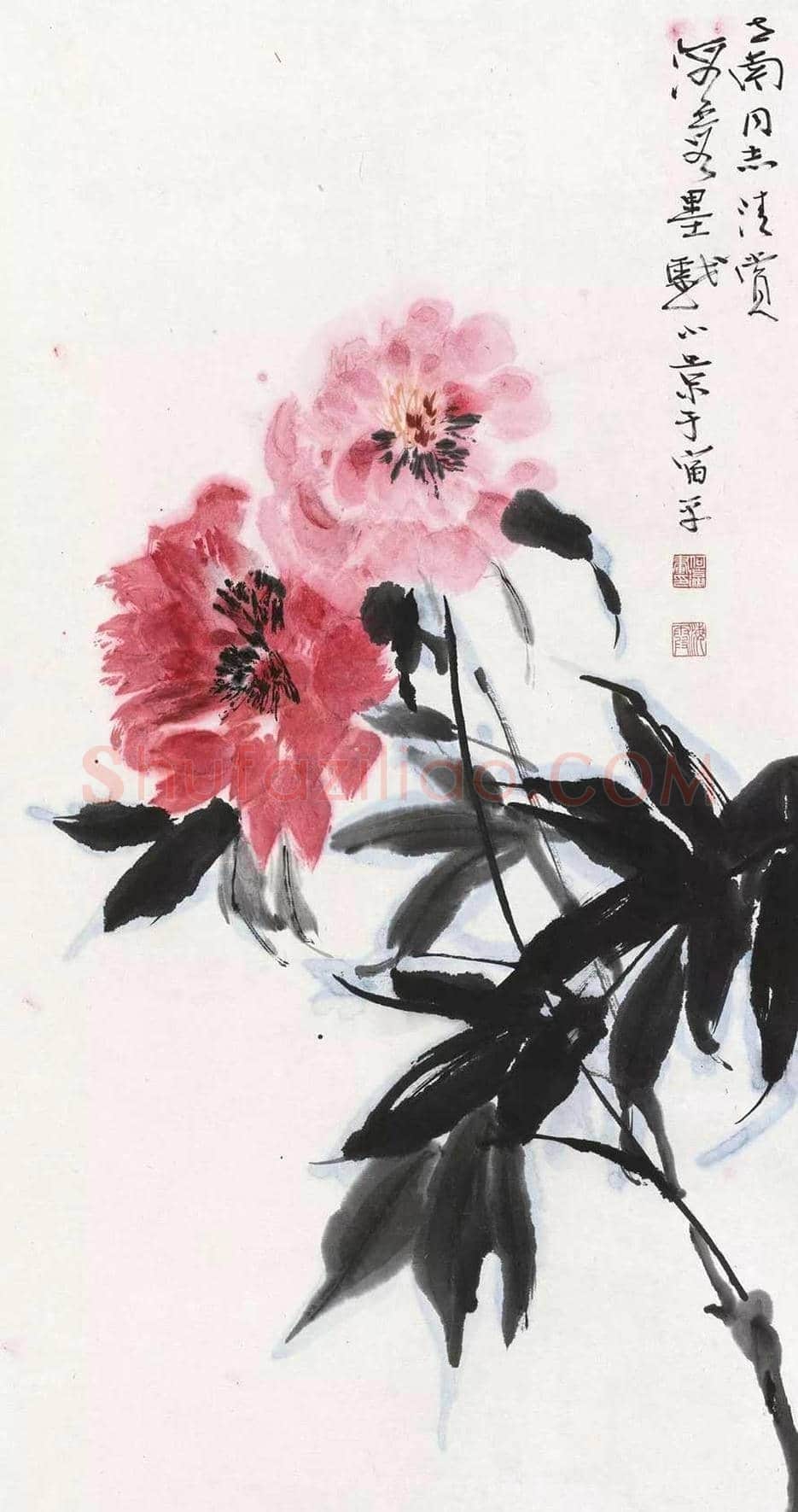 何海霞花鸟作品欣赏 | 书画知识