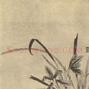 清代 大愚国画作品《兰》摘自 南画大成 卷一