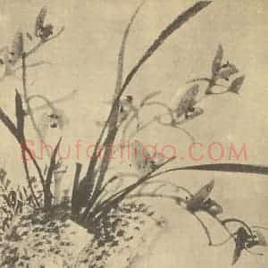 清代 张穆国画作品《兰石》摘自 南画大成 卷一