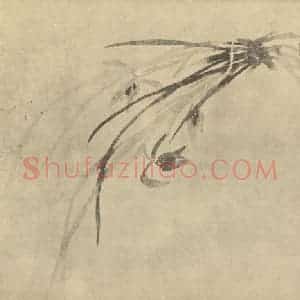 清代 释道济国画作品《兰》摘自 南画大成 卷一