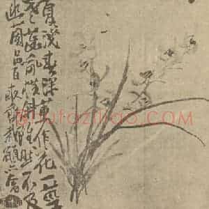 清代 李鳝国画作品《兰》摘自 南画大成 卷一